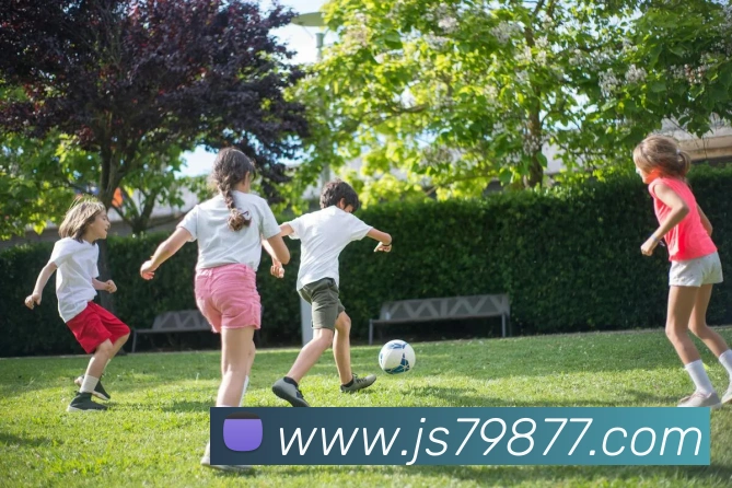 多媒体互动体验